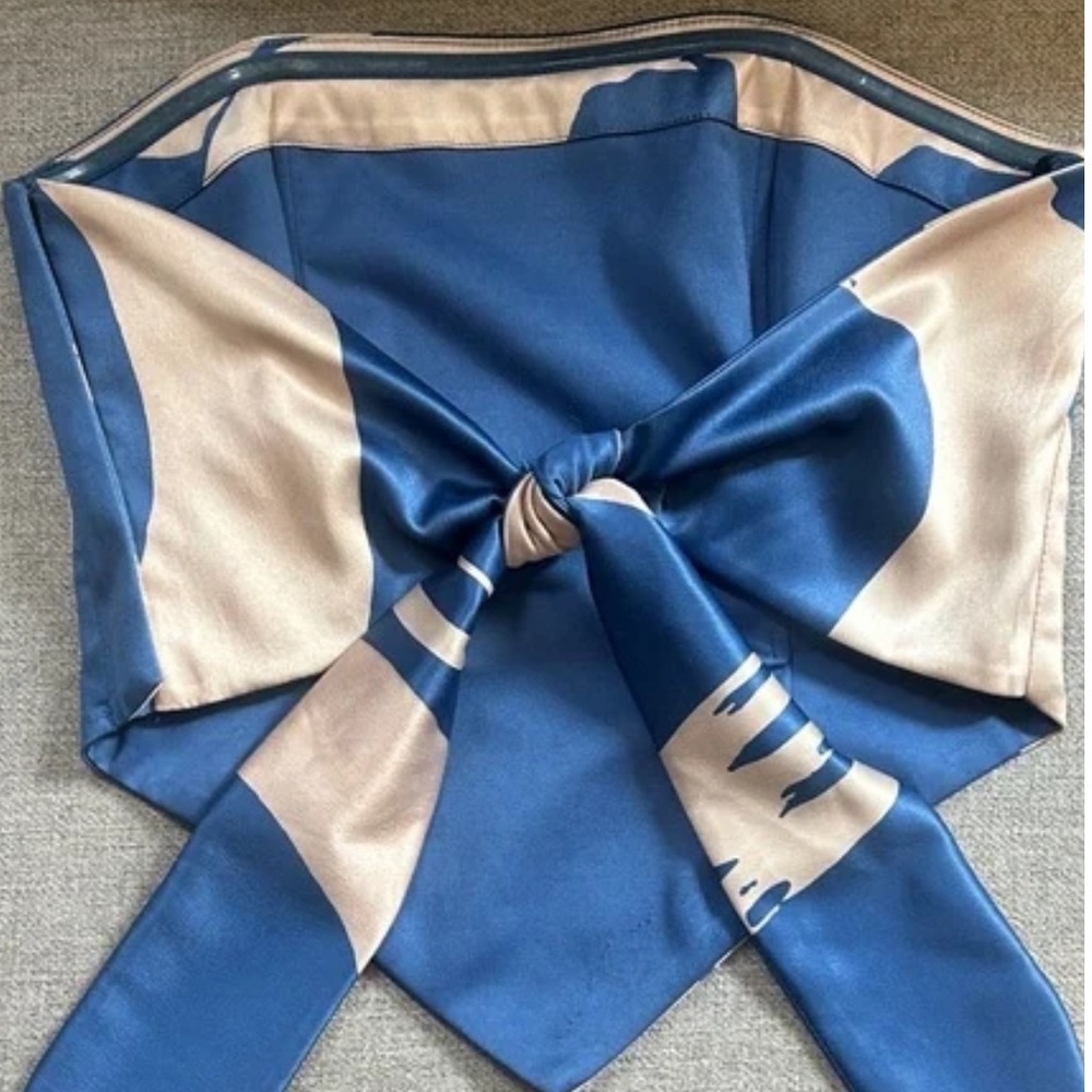 Georgie ✨Blue & Gold Satin Slip Top
